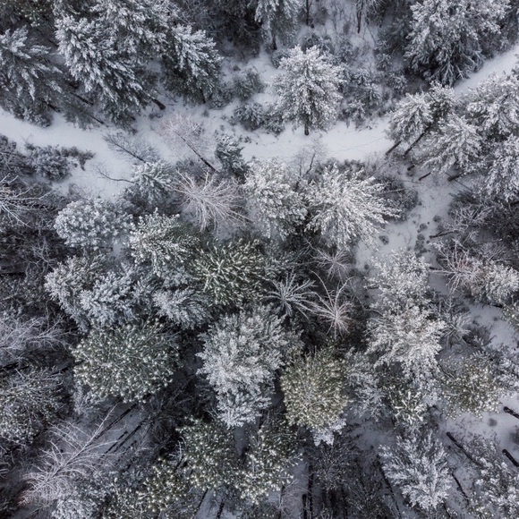 | W E L C O M E | - Picture 7 of 7